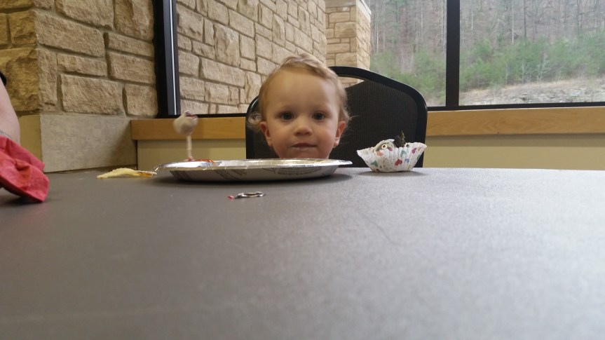 Possum Covered Strawberries and Other Underappreciated Things.