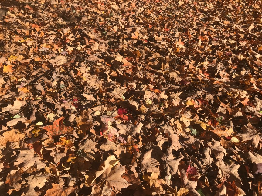 Autumn, December and Charlie&nbsp;Brown