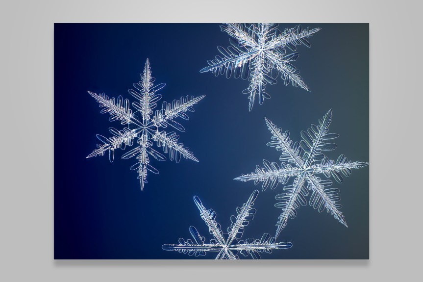 For a moment,&nbsp;simple